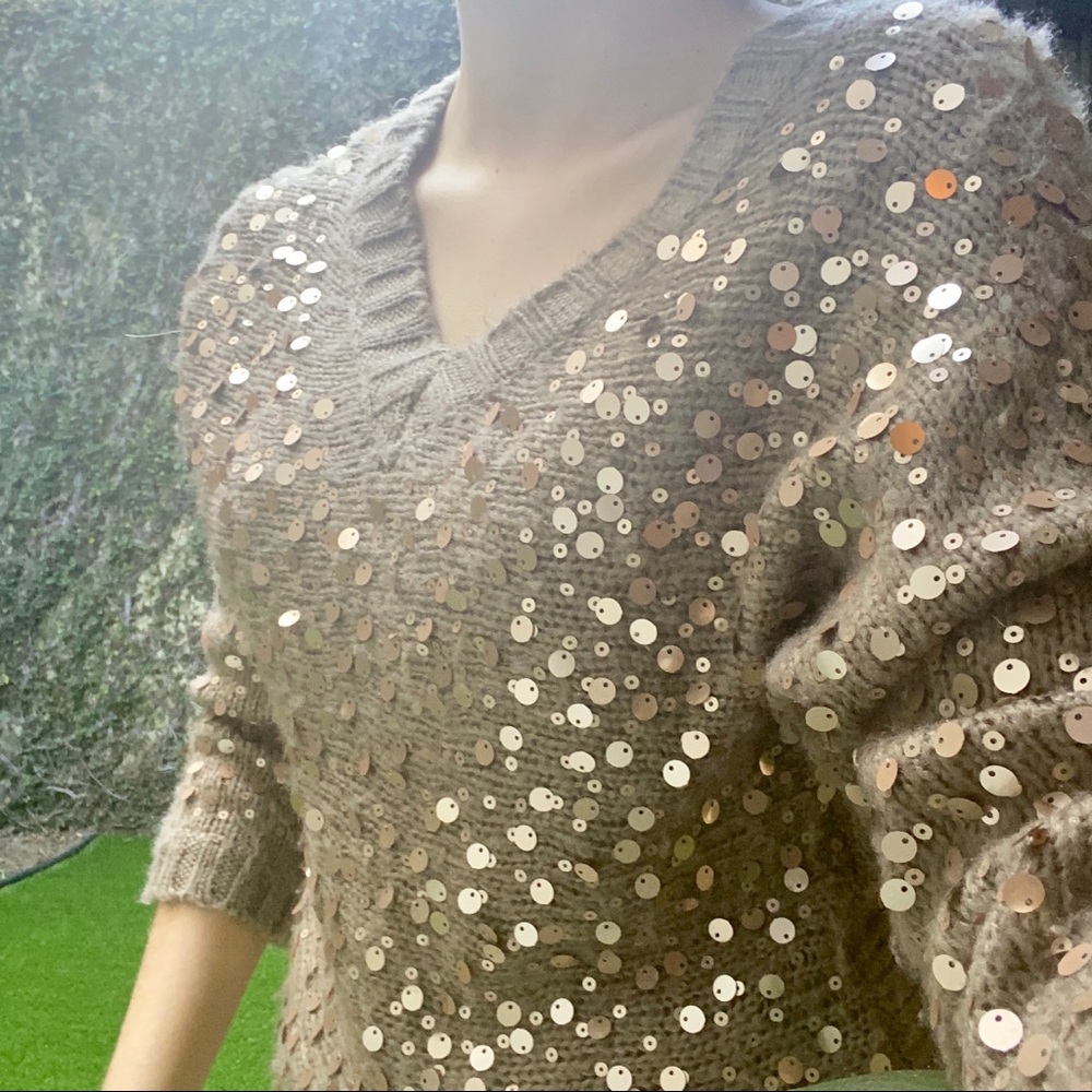 Forever 21 Gold and Brown Sequin V Neck Sweater
